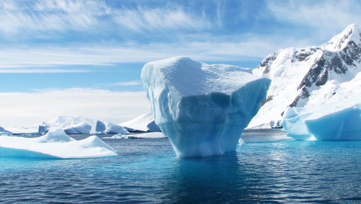 the icebergs and the sea, el museo marino que buscará crear conciencia ambiental