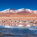 Laguna Colorada en Bolivia