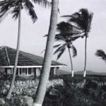 "Casa de Tarzán" en Acapulco, el refugio hollywoodense en los 50's