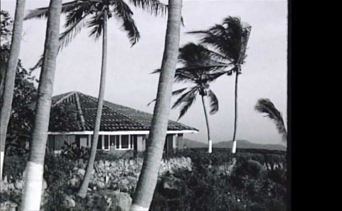 "casa de tarzán" en acapulco, el refugio hollywoodense en los 50's