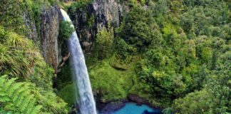 Cascada del Chipitín, un tesoro cristalino de Nuevo León