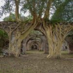 Ex Hacienda de San Jacinto Ixtoluca, un viaje al pasado