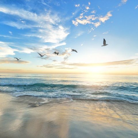 Playa Paamul, una delicada pintura costera de Quintana Roo