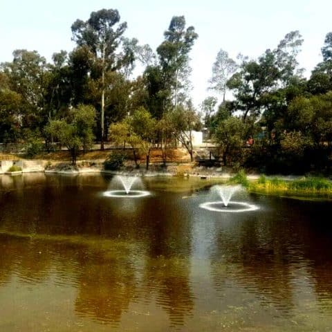 Parque Ecológico Huayamilpas en Coyoacán