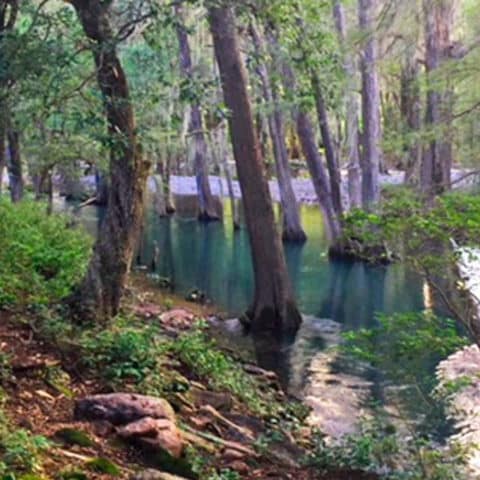 salto del tigre