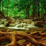 Santiago Apoala, un reino natural lleno de encanto y magia