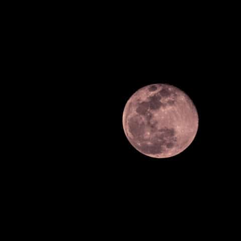 Superluna Rosa, el evento astronómico que no te puedes perder