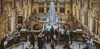 Museo de Historia Natural de Londres