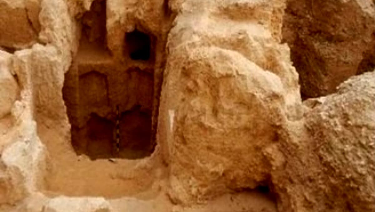 antiguo egipto hallan tumbas de nobles