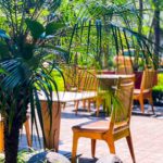 Bosque Gourmet CDMX: un paraíso gastronómico al aire libre