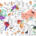 Mapa: las razas de perros más populares en cada país