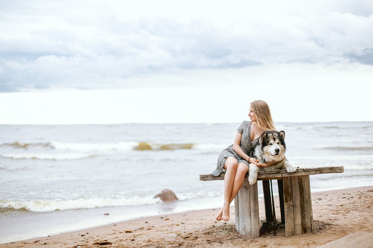 4 playas Pet Friendly para viajar con tu mascota por el mundo