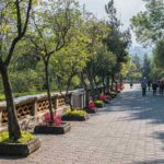 3 bosques de CDMX para un fin de semana verde