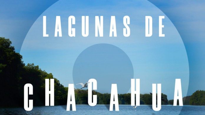 chacahua