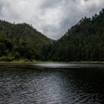 Gran Bosque de Agua, qué hacer en este verde y exuberante arbolado