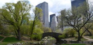 hoteles cerca de central park