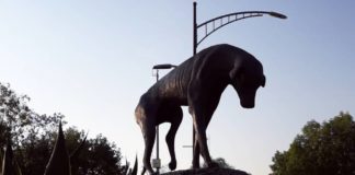 monumento al perro callejero