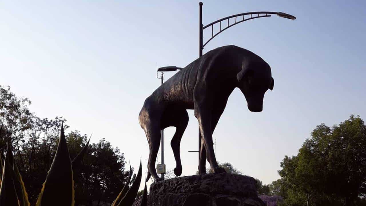 monumento al perro callejero