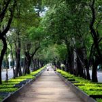 Paseo de la Reforma