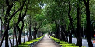 Paseo de la Reforma