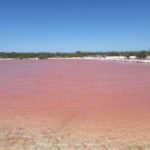 Conoce las salineras de Xtampú y sus encantadoras aguas de color rosa