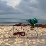 Sargazo: ¿Qué es y por qué llega a Quintana Roo?