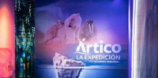 Ártico, La Expedición: la expo que no te puedes perder en el Acuario Inbursa