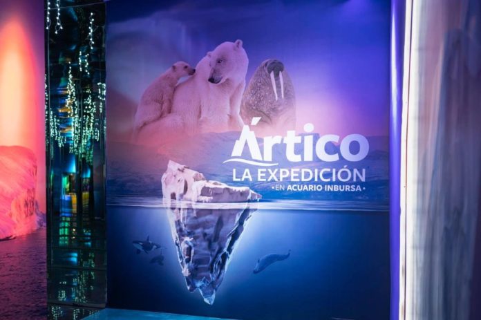 Ártico, La Expedición: la expo que no te puedes perder en el Acuario Inbursa