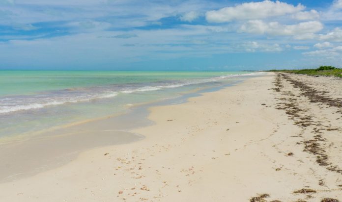 Cancunito: ¿Cómo llegar a esta increíble playa virgen de Yucatán?
