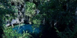 Cenote Yokdzonot Yucatán