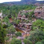 Cumbres de Majalca, un paraíso singular de Chihuahua