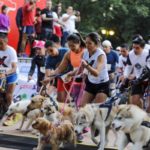 Dog Running Race, la carrera de lomitos con causa en la CDMX