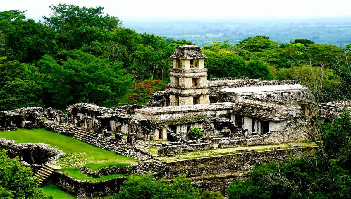 Parque Nacional Palenque en Chiapas