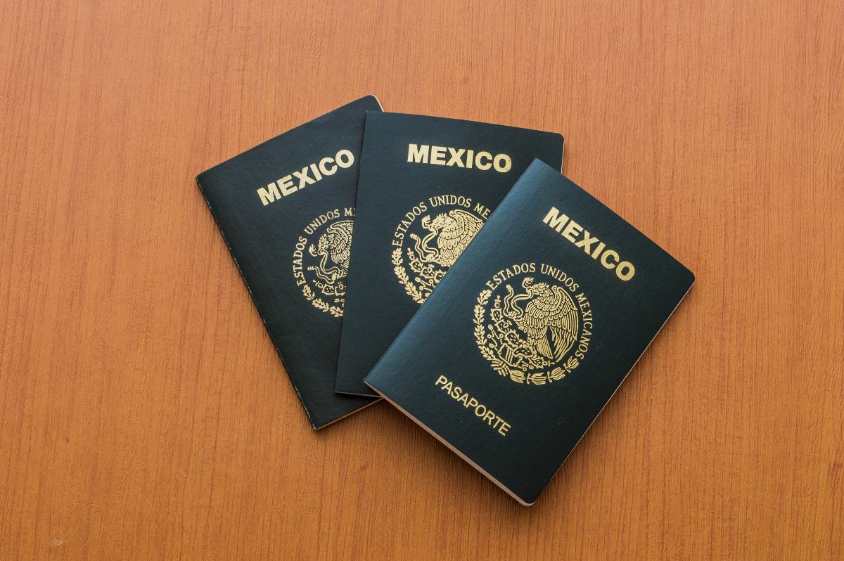 pasaporte: ¿cuántos tipos hay en méxico y cuáles son?