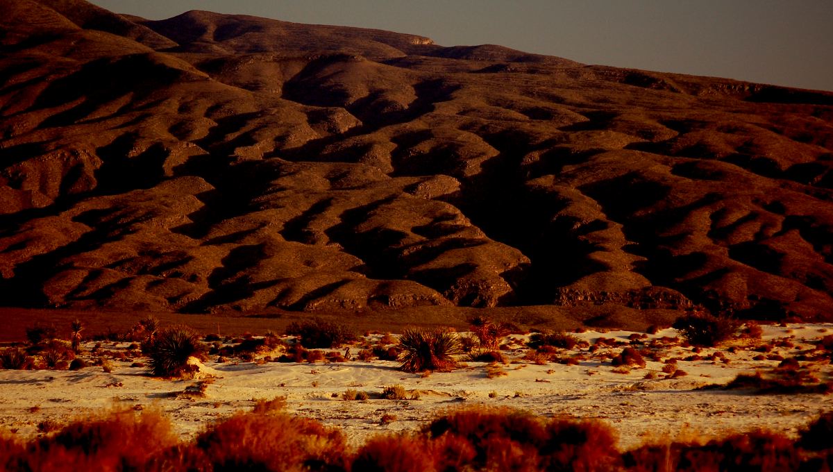 Ruta del Desierto en Coahuila