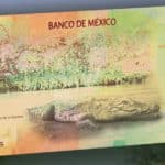 Banxico anuncia nuevo diseño de los billetes de 20 y 50 pesos ¡Adiós Juárez y Morelos!