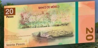 Banxico anuncia nuevo diseño de los billetes de 20 y 50 pesos ¡Adiós Juárez y Morelos!