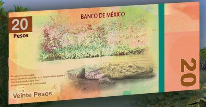 Banxico anuncia nuevo diseño de los billetes de 20 y 50 pesos ¡Adiós Juárez y Morelos!