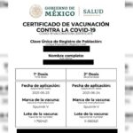 certificado de vacunacion hidalgo