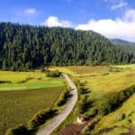 Cumbres del Ajusco