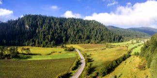 Cumbres del Ajusco