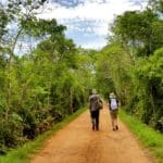 Reserva Ecológica Cuxtal