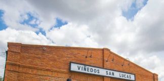 san miguel de allende viñedos