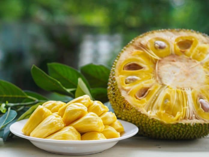 Yaca o Jackfruit, la deliciosa fruta gigante que quizá no conocías