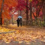 Disfruta de una amena caminata en estos lugares de la CDMX