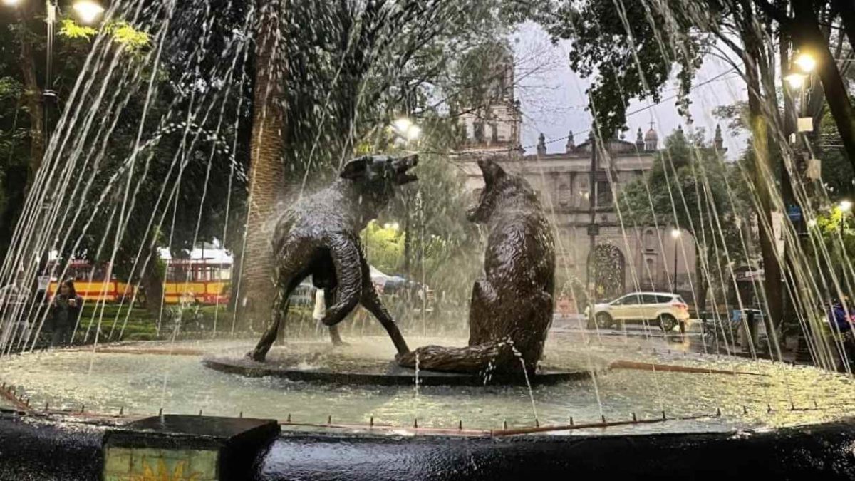 coyoacán