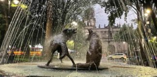 coyoacán