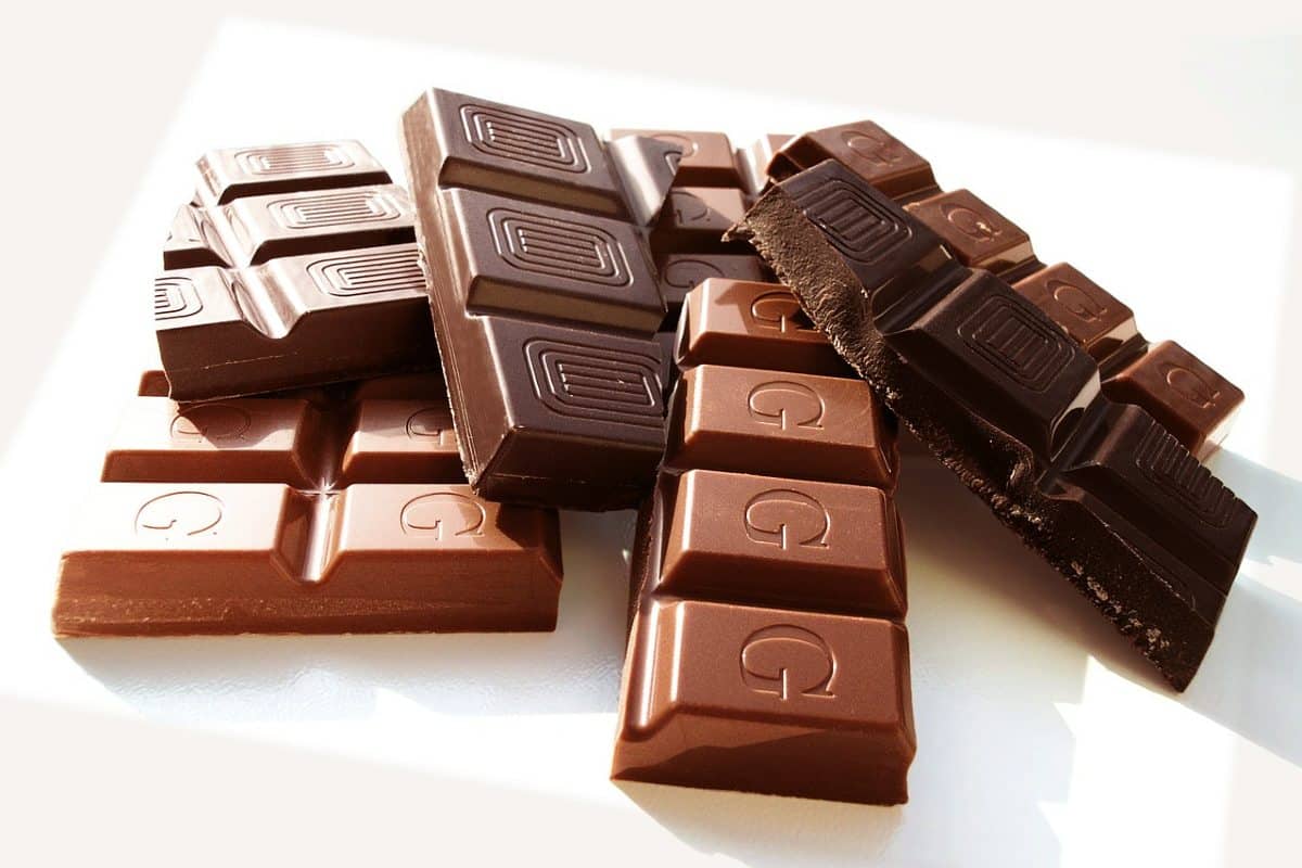 13 de septiembre, día internacional del chocolate