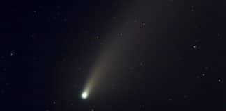 cometa leonard