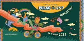 Pulso GNP 2022